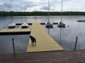 Float docks access ramp Birchdog